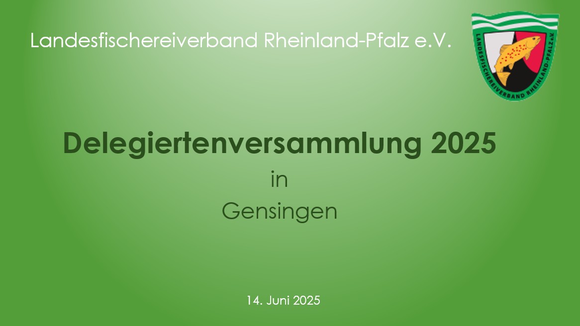 Delegiertenversammlung