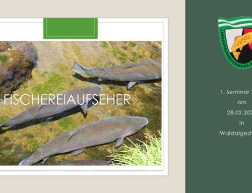 Seminar Fischereiaufseher*in in Waldalgesheim